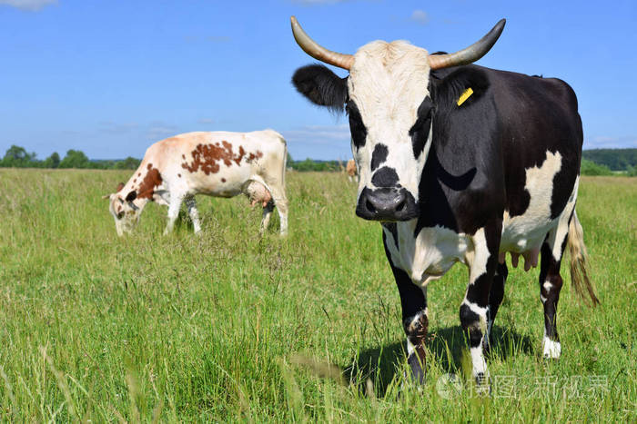 冬春季药浴液选择和正确使用建议